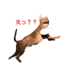 大和だよパート1（個別スタンプ：8）