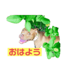 大和だよパート1（個別スタンプ：9）