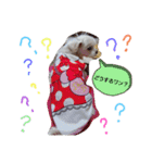 ワンの気持ち♪ 1（個別スタンプ：4）