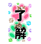 ゆかいなにゃんこ9★毎日使えるBIGスタンプ（個別スタンプ：1）
