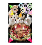 ゆかいなにゃんこ9★毎日使えるBIGスタンプ（個別スタンプ：37）