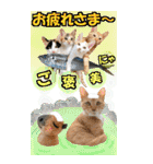 ゆかいなにゃんこ9★毎日使えるBIGスタンプ（個別スタンプ：38）