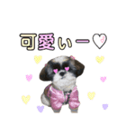 みみ♡ちょこ  ②（個別スタンプ：15）
