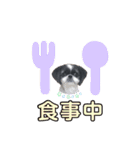 みみ♡ちょこ  ②（個別スタンプ：28）