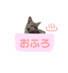 みみ♡ちょこ  ②（個別スタンプ：29）