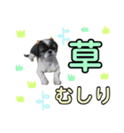 みみ♡ちょこ  ②（個別スタンプ：33）