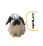 ビーさんスタンプ3（個別スタンプ：19）
