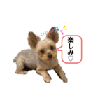 アンディ2（個別スタンプ：21）