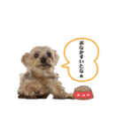 アンディ2（個別スタンプ：23）