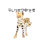 犬猫 lives matterスタンプ（個別スタンプ：11）