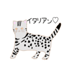 犬猫 lives matterスタンプ（個別スタンプ：19）