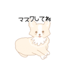 犬猫 lives matterスタンプ（個別スタンプ：25）