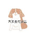 犬猫 lives matterスタンプ（個別スタンプ：30）