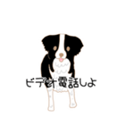 犬猫 lives matterスタンプ（個別スタンプ：31）