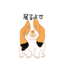 犬猫 lives matterスタンプ（個別スタンプ：32）