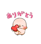 オカメくんとピンクちゃん Vol.5（個別スタンプ：20）
