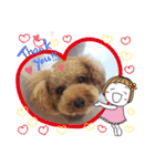 ポコすたんぷ#08（個別スタンプ：1）