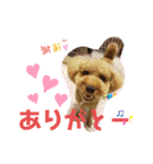ポコすたんぷ#08（個別スタンプ：2）