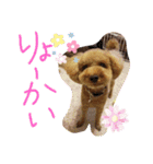 ポコすたんぷ#08（個別スタンプ：5）
