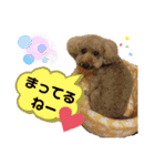ポコすたんぷ#08（個別スタンプ：14）