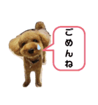 ポコすたんぷ#08（個別スタンプ：17）