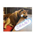 吟さんの日常①（個別スタンプ：5）