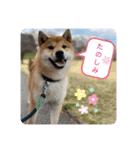 吟さんの日常①（個別スタンプ：6）