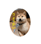 吟さんの日常①（個別スタンプ：7）