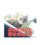 三河弁猫（個別スタンプ：40）