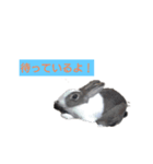 くるみ  ひかり（個別スタンプ：6）