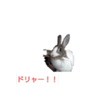 くるみ  ひかり（個別スタンプ：7）