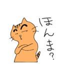 関西まゆねこ（個別スタンプ：13）