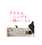 イタリア猫のいたわり言葉（日本語）（個別スタンプ：4）