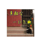 イタリア猫のいたわり言葉（日本語）（個別スタンプ：8）