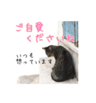 イタリア猫のいたわり言葉（日本語）（個別スタンプ：22）