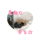 イタリア猫のいたわり言葉（日本語）（個別スタンプ：24）