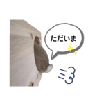 うさぎのチモスタンプ（個別スタンプ：15）