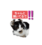 にゃんこの生活～（個別スタンプ：3）