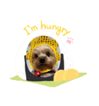 ゆめここしふぉんんスタンプ（個別スタンプ：8）