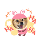ゆめここしふぉんんスタンプ（個別スタンプ：20）