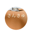 レオパ界の美女JILL様（個別スタンプ：10）