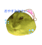 ジャンガリアンのマロンくん（個別スタンプ：2）