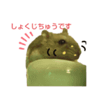 ジャンガリアンのマロンくん（個別スタンプ：17）