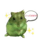 ジャンガリアンのマロンくん（個別スタンプ：24）