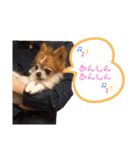 りょうたま＆みみたまのすたんぷ（個別スタンプ：8）