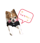 りょうたま＆みみたまのすたんぷ（個別スタンプ：9）