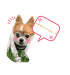 りょうたま＆みみたまのすたんぷ（個別スタンプ：32）