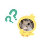 ハムちゃん‘S2（個別スタンプ：6）