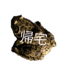 使い道のわからないやつ（個別スタンプ：1）