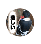 やすくんと愉快な仲間たち！（個別スタンプ：5）